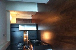 Bad Toronto MLS photo