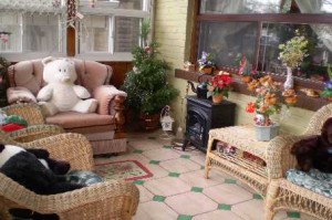 Teddy Bear Picnic