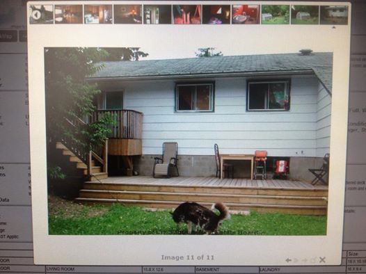 From our friends at the Sudbury Real Estate board...and yes that dog is doing what you're thinking he's doing. 