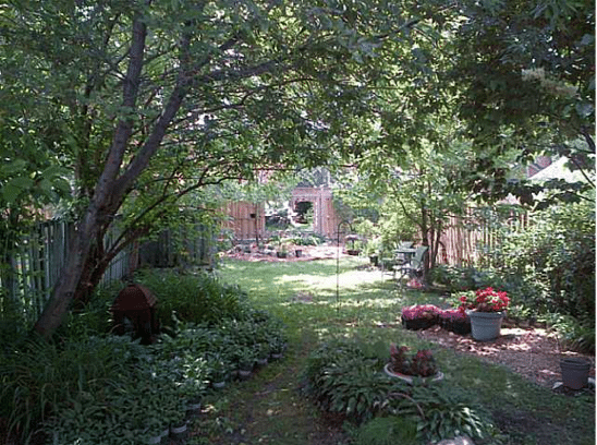 35 Thomas Street St. Catharines backyard Sold by BREL