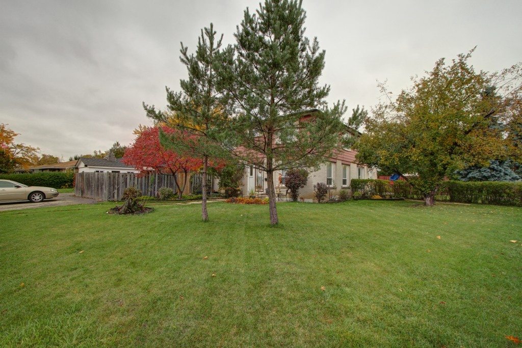45 Edenborough Drive House for Sale Backyard2