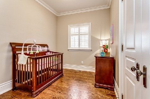 Sold by BREL 278 Gamma Street Nursery