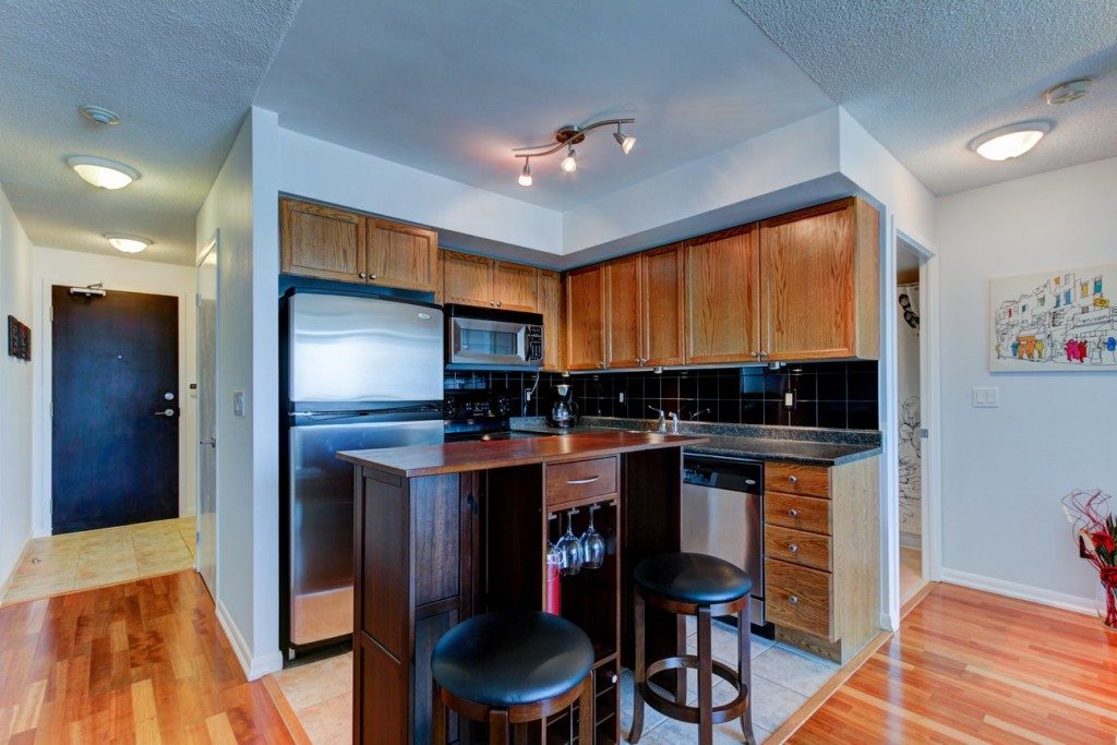 Condo with parking 231 Fort York Blvd 1305