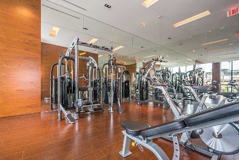 Islington Condos Sold
