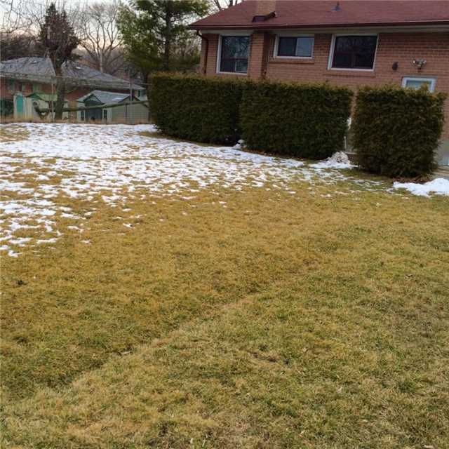 Bungalow Etobicoke Kingsview Village