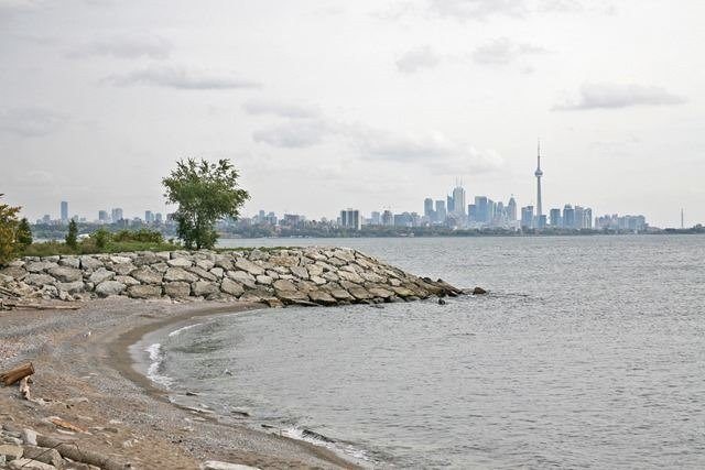 Condos Mimico Toronto Beyond The Sea