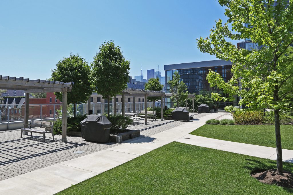 Regent Park Toronto One Cole