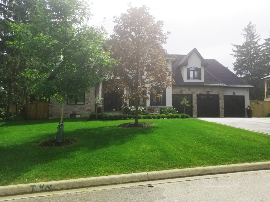 Erindale, Mississauga Neighbourhood & Real Estate Guide
