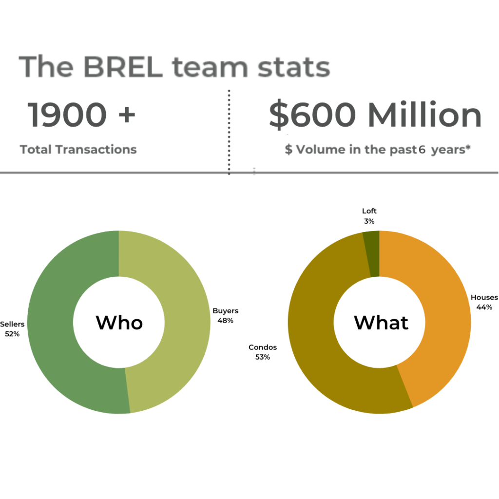 the BREL team stats 2021